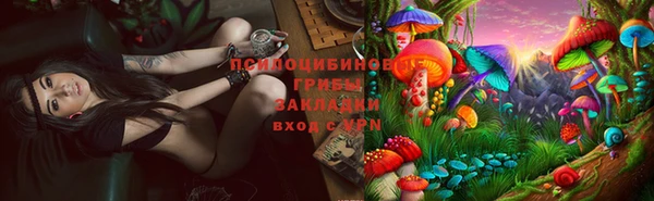 твердый Абаза
