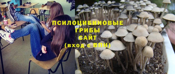 бутират Абинск