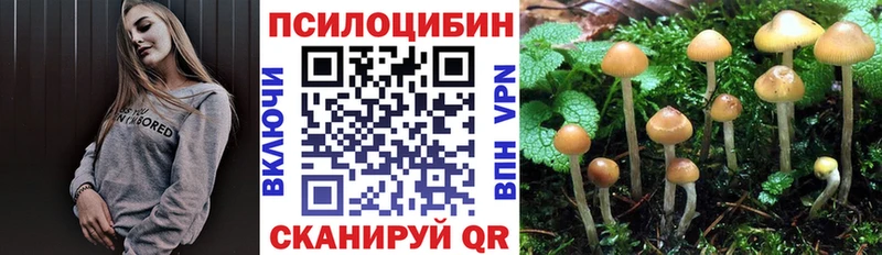 Псилоцибиновые грибы GOLDEN TEACHER  Енисейск 